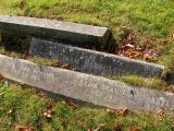 image of grave number 172062